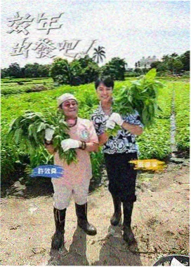 红豆社区资讯配图：综艺素人招募